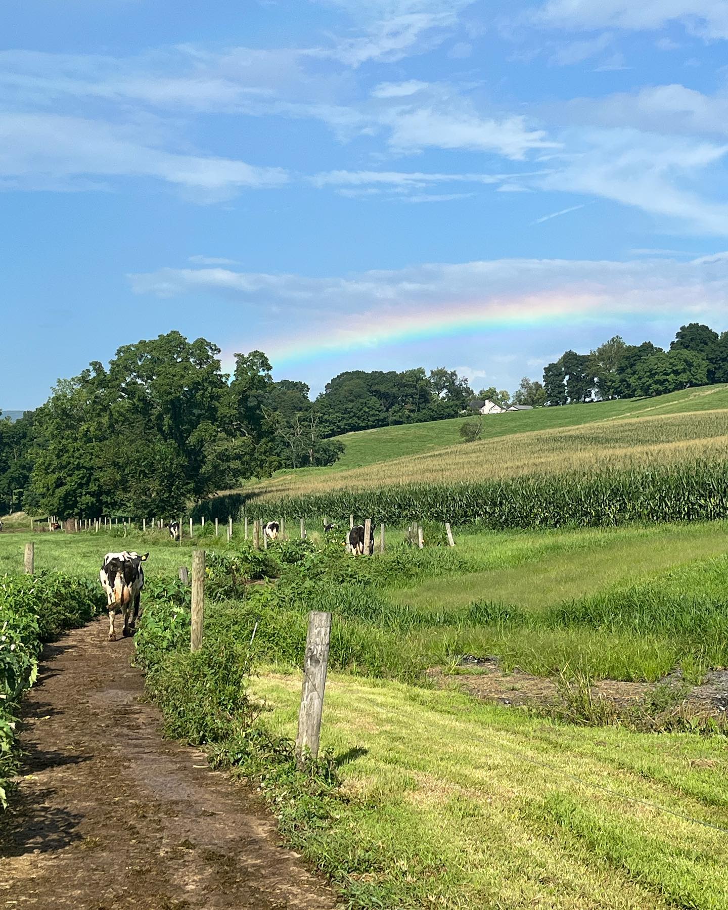 South Mountain Creamery