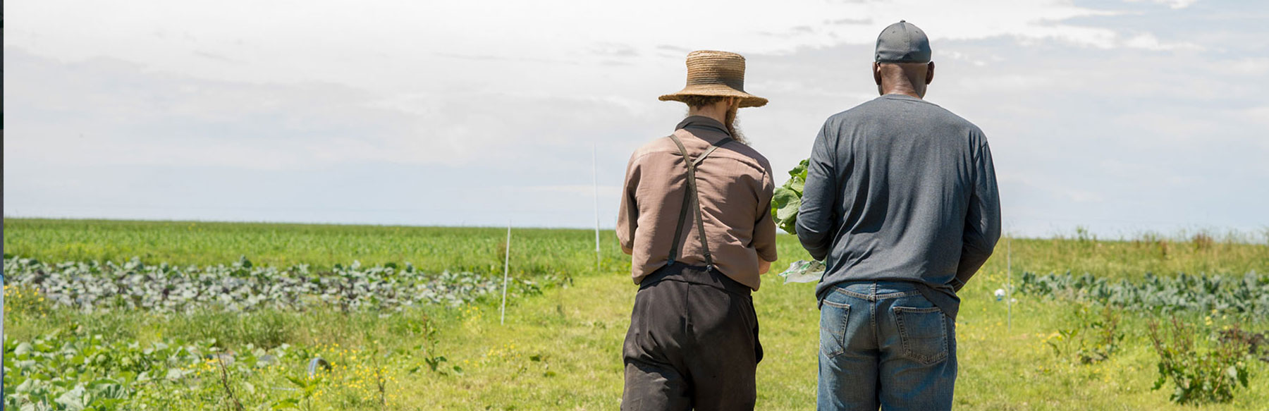 Lancaster Farm Fresh Cooperative