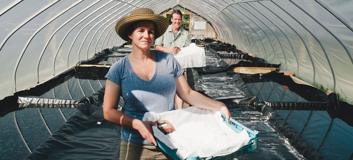 J.Q. Dickinson Provisions